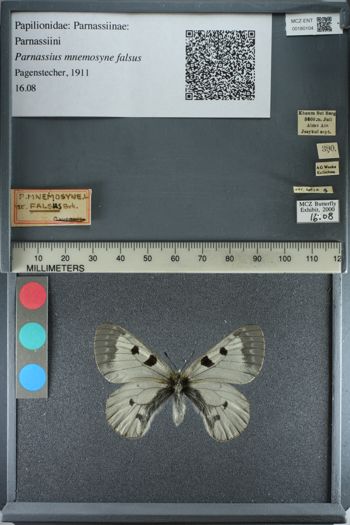 Media type: image;   Entomology 180104